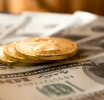 Currency Assets for Beginners in Binary Options