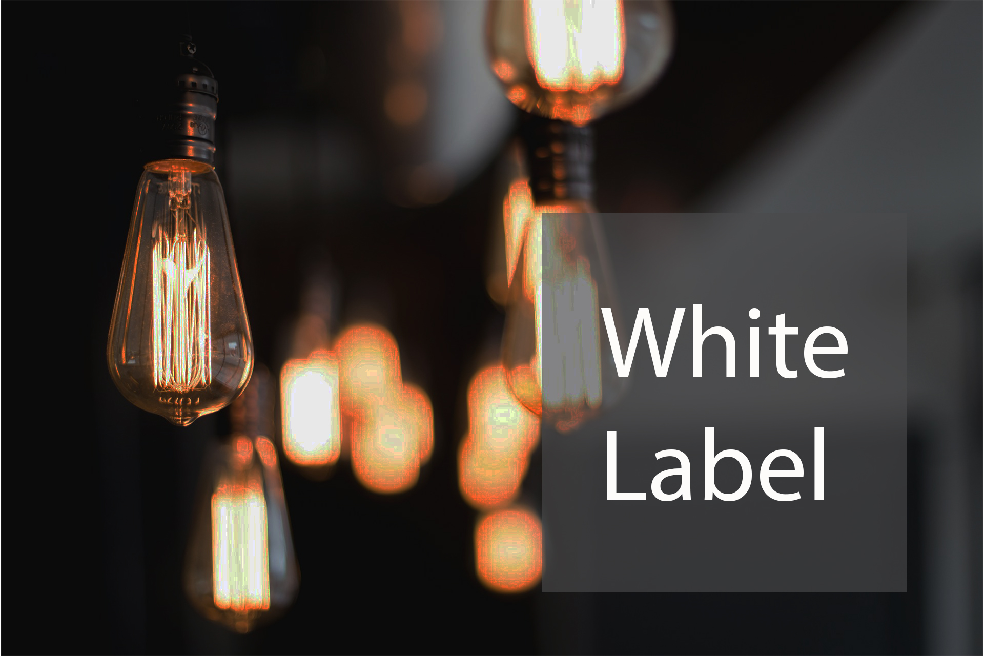 Unveiling the Advantages of Utilizing White Label Platforms for Up-and-Coming Brokers