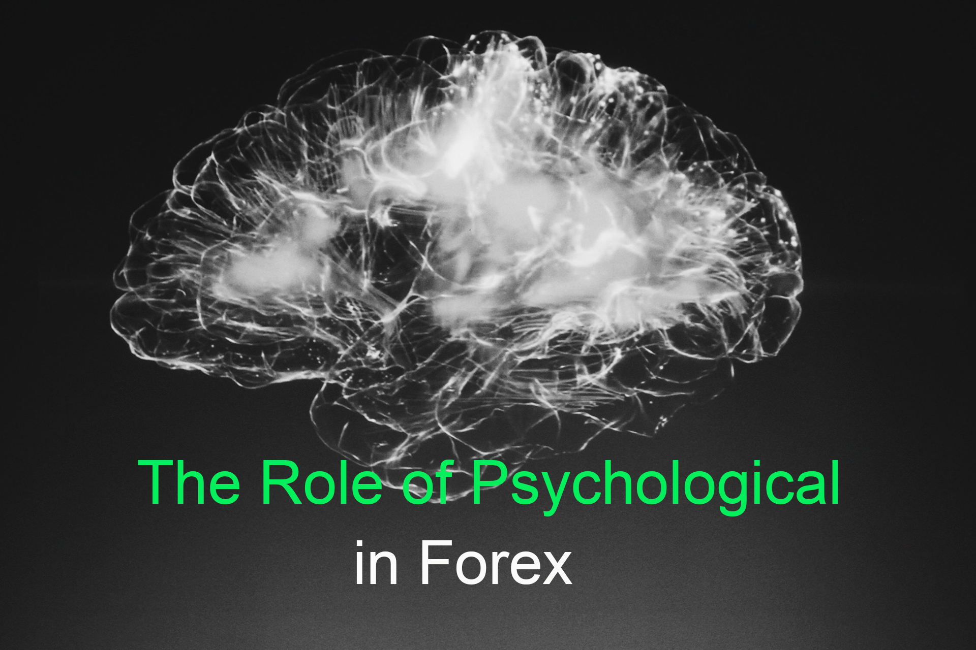 The Role of Psychology in Forex: How Your Mindset Affects Trading Outcomes