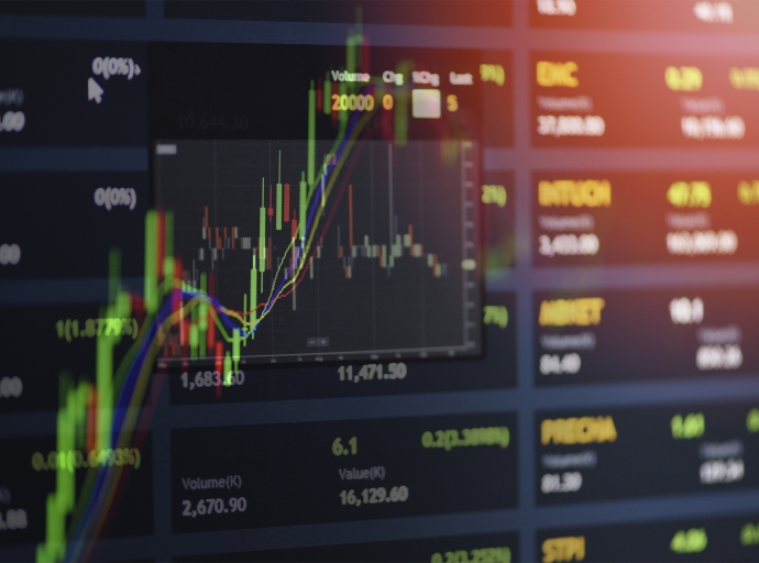 Understanding the Role of an Investment Manager