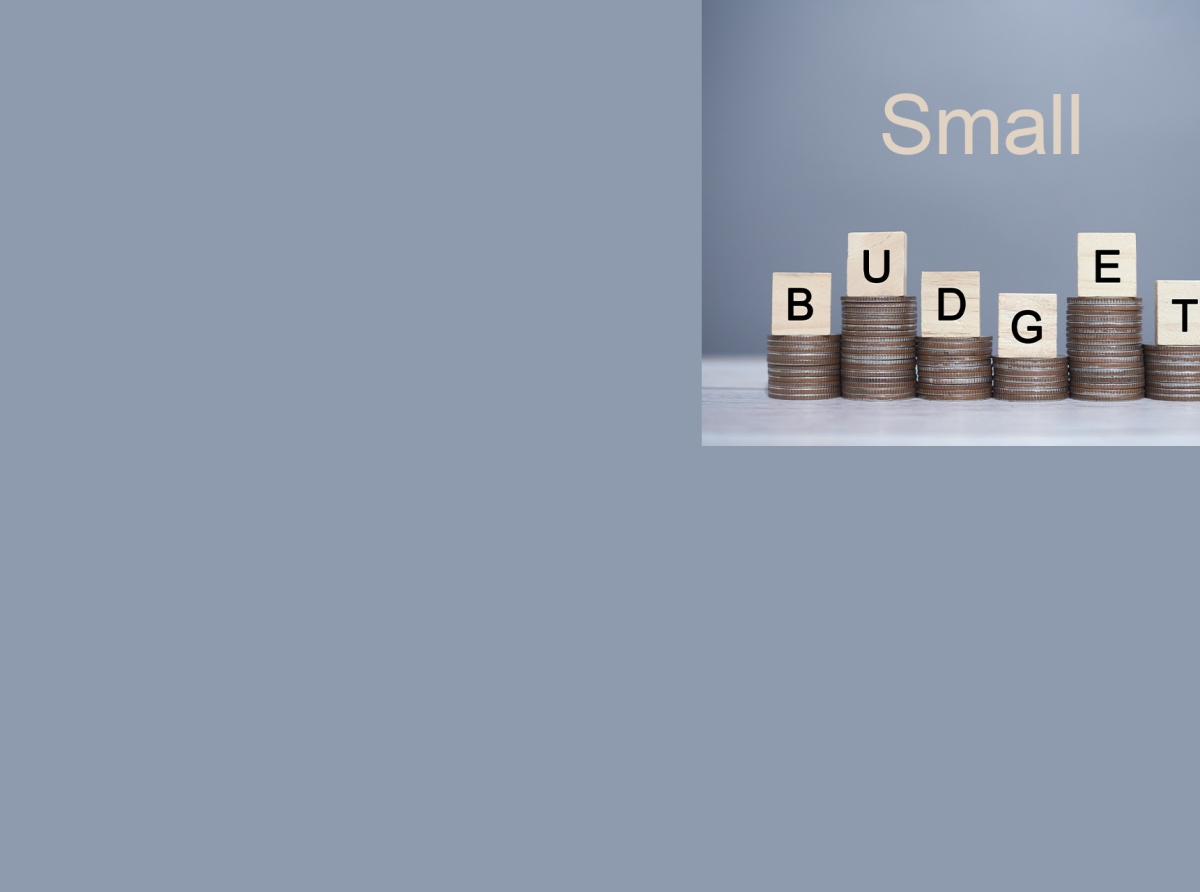 Effective Management Strategies for Small Budgets