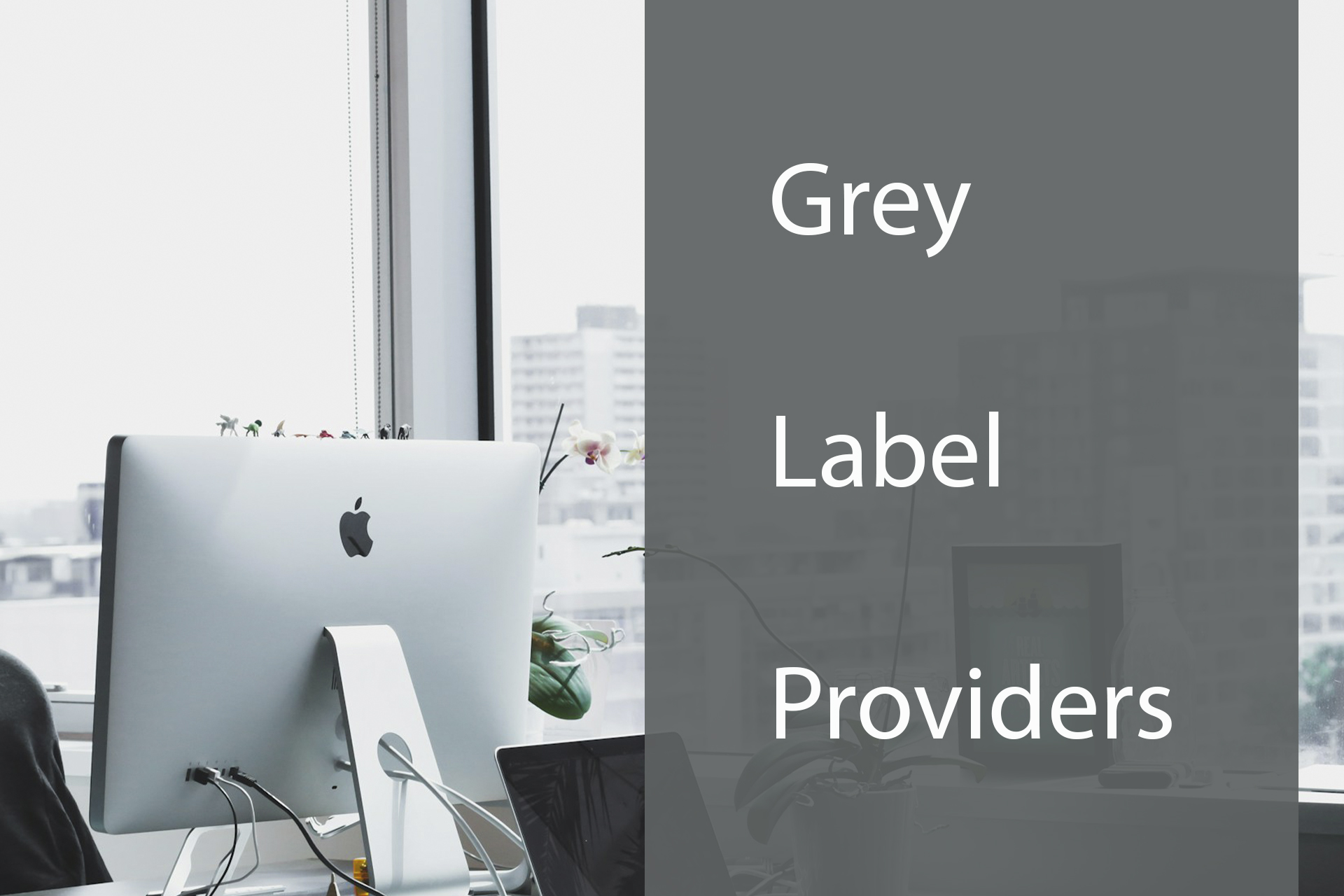 Grey Label Providers: Innovative Solutions for Your Business