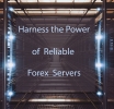 Maximize Your Trading Potential with Reliable Forex Servers