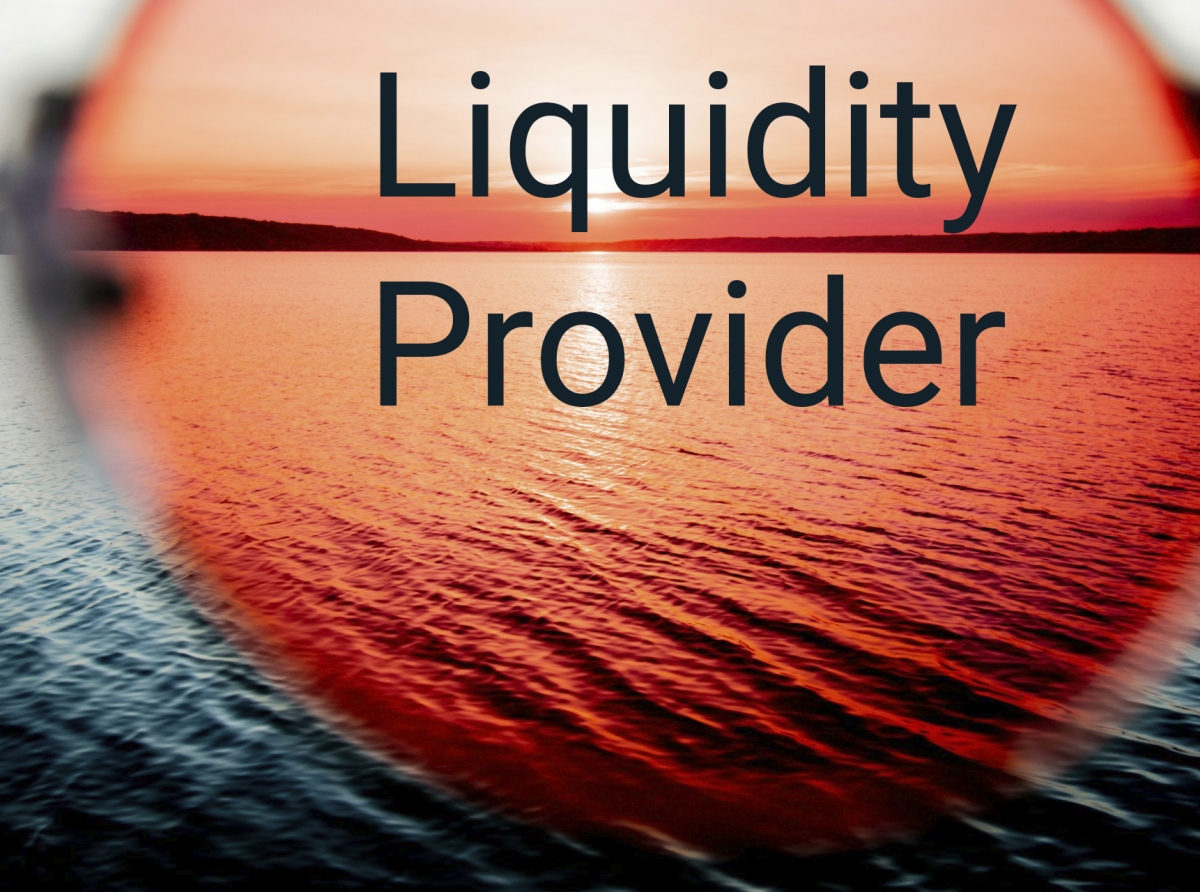 Navigating the Waters: Key Factors to Consider When Selecting a Liquidity Provider for Your Brokerage