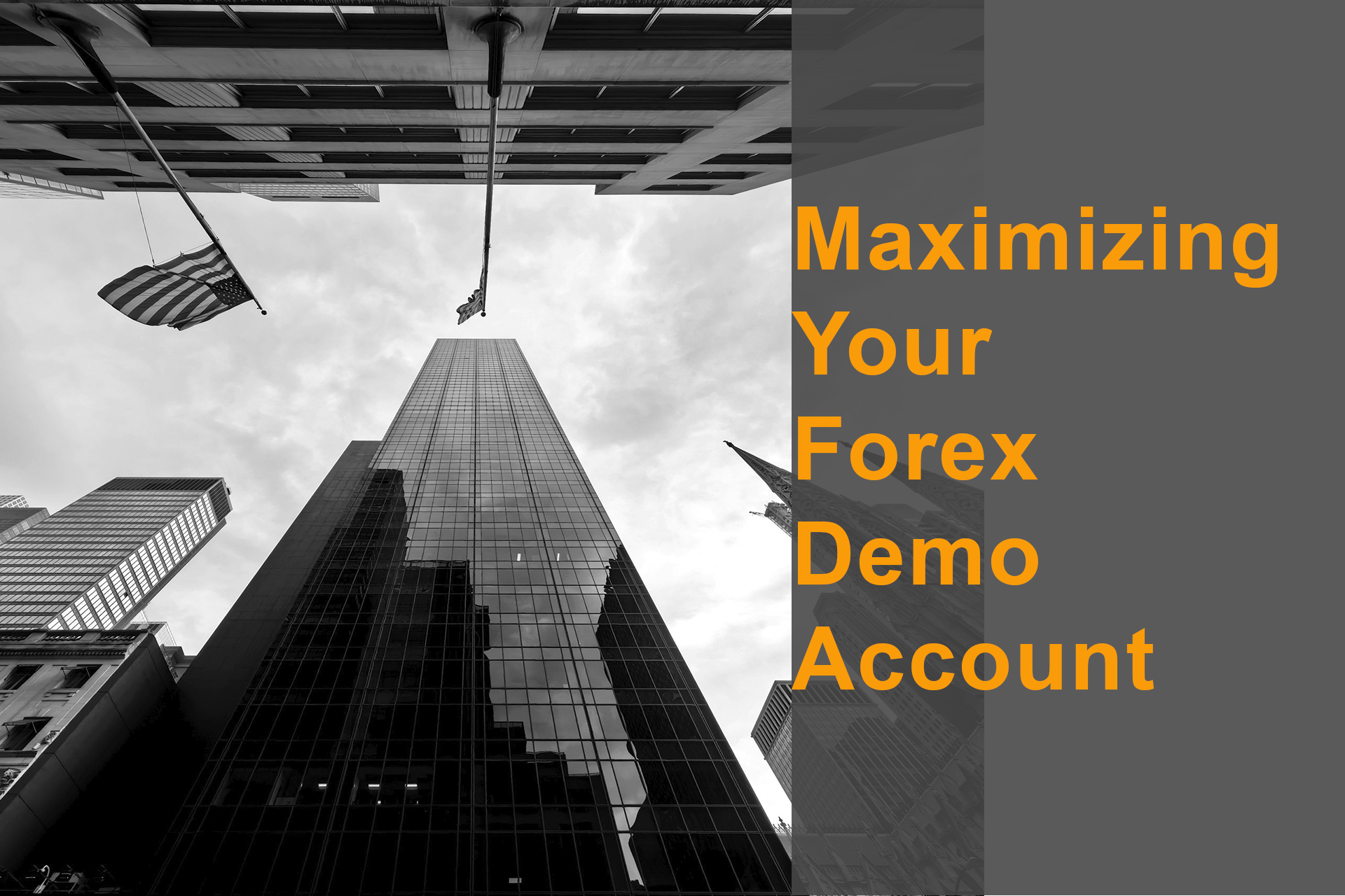 Maximizing Your Forex Demo Account