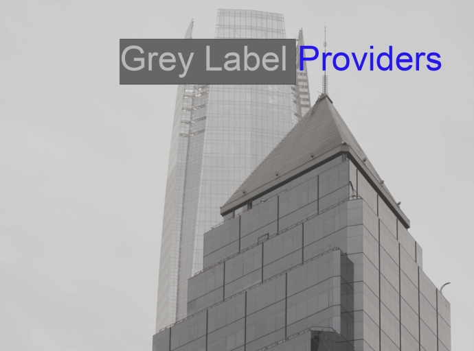 How Grey Label Providers Can Lower Entry Costs for New Brokers