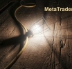 Exploring Key Features of MetaTrader 4 Turnkey Solutions for Growing Forex Businesses