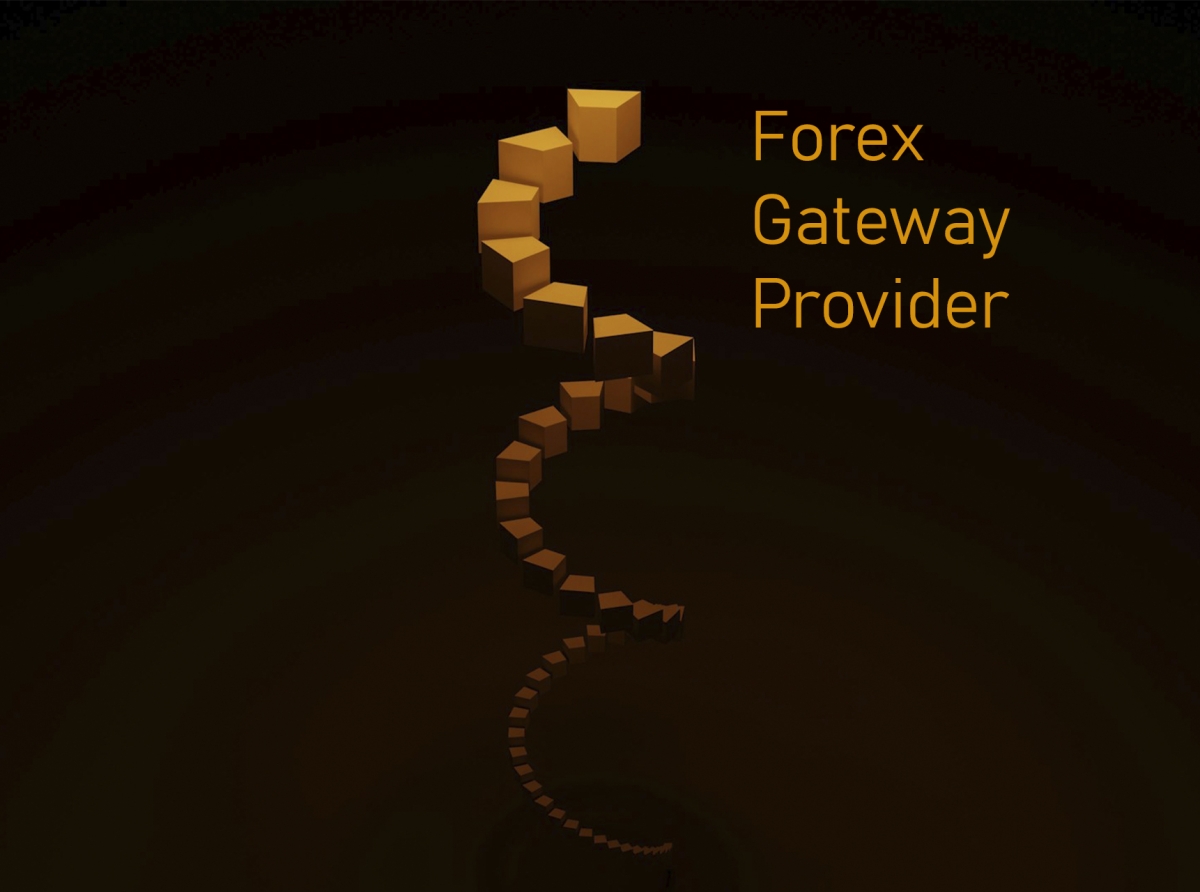 Top Features to Look for in a Forex Gateway Provider: Security, Speed, and Compliance