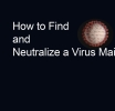 How to Find and Neutralize a Virus Miner