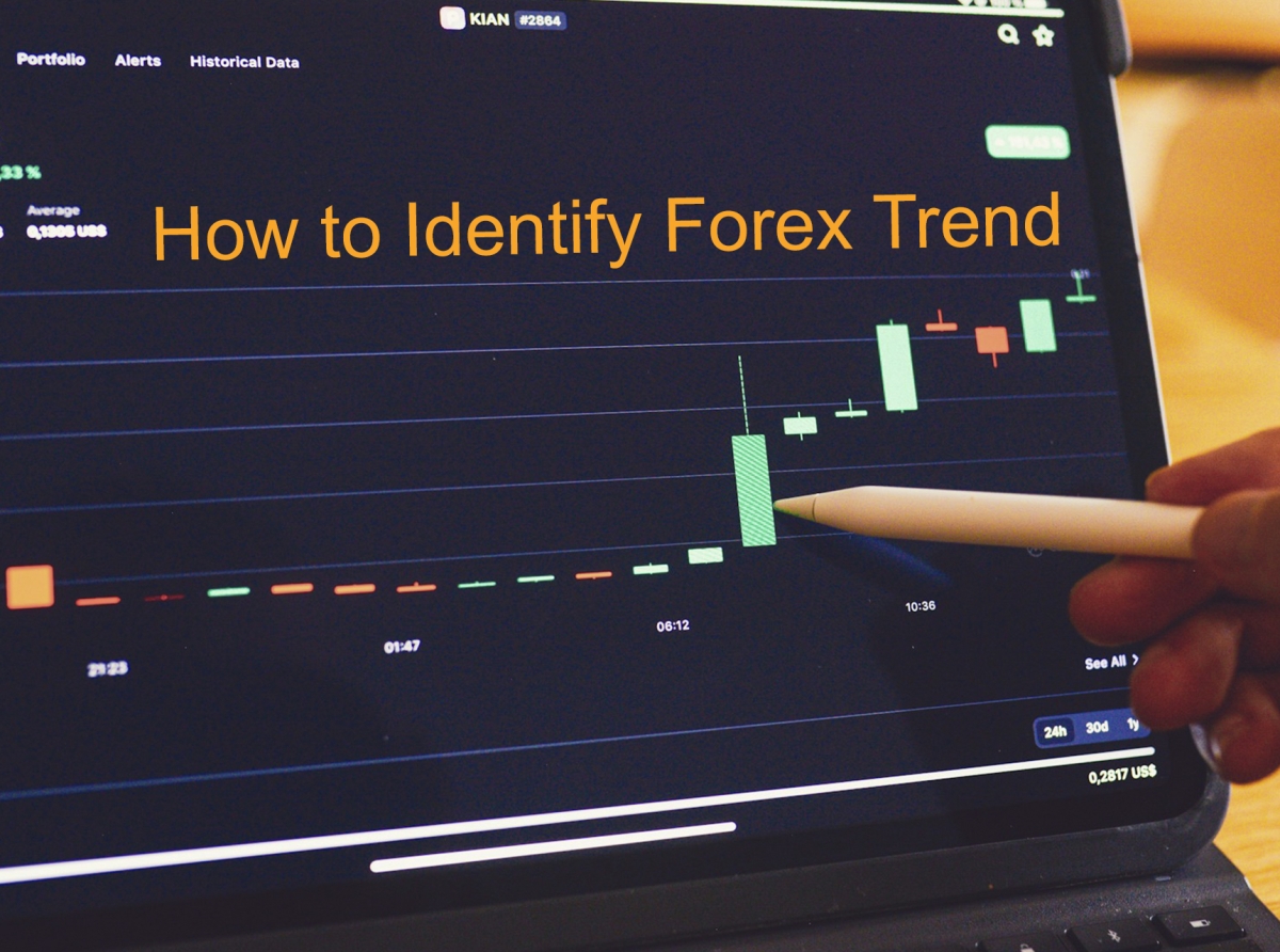 How to Identify Forex Trends and Profit from Them