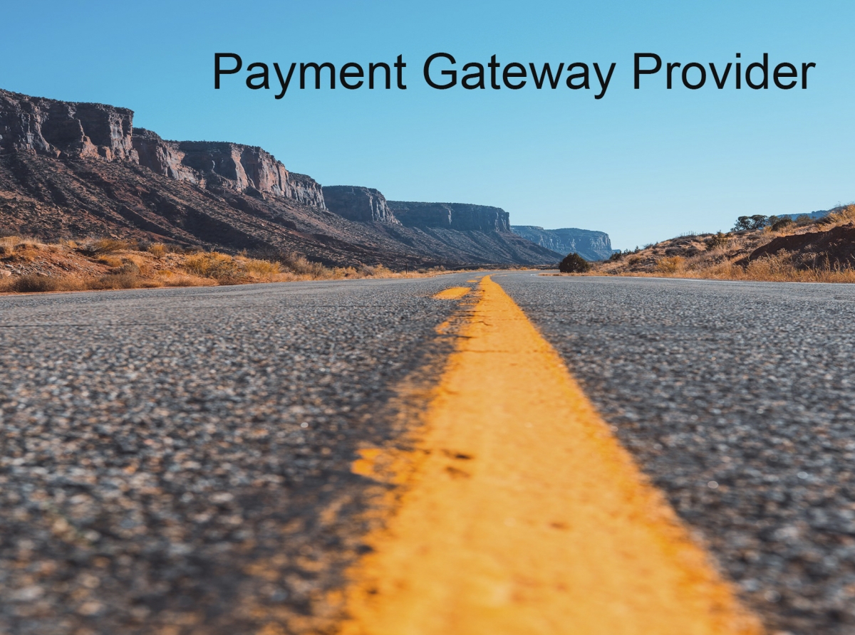 Choosing the Right Payment Gateway Provider for Maximizing Profit