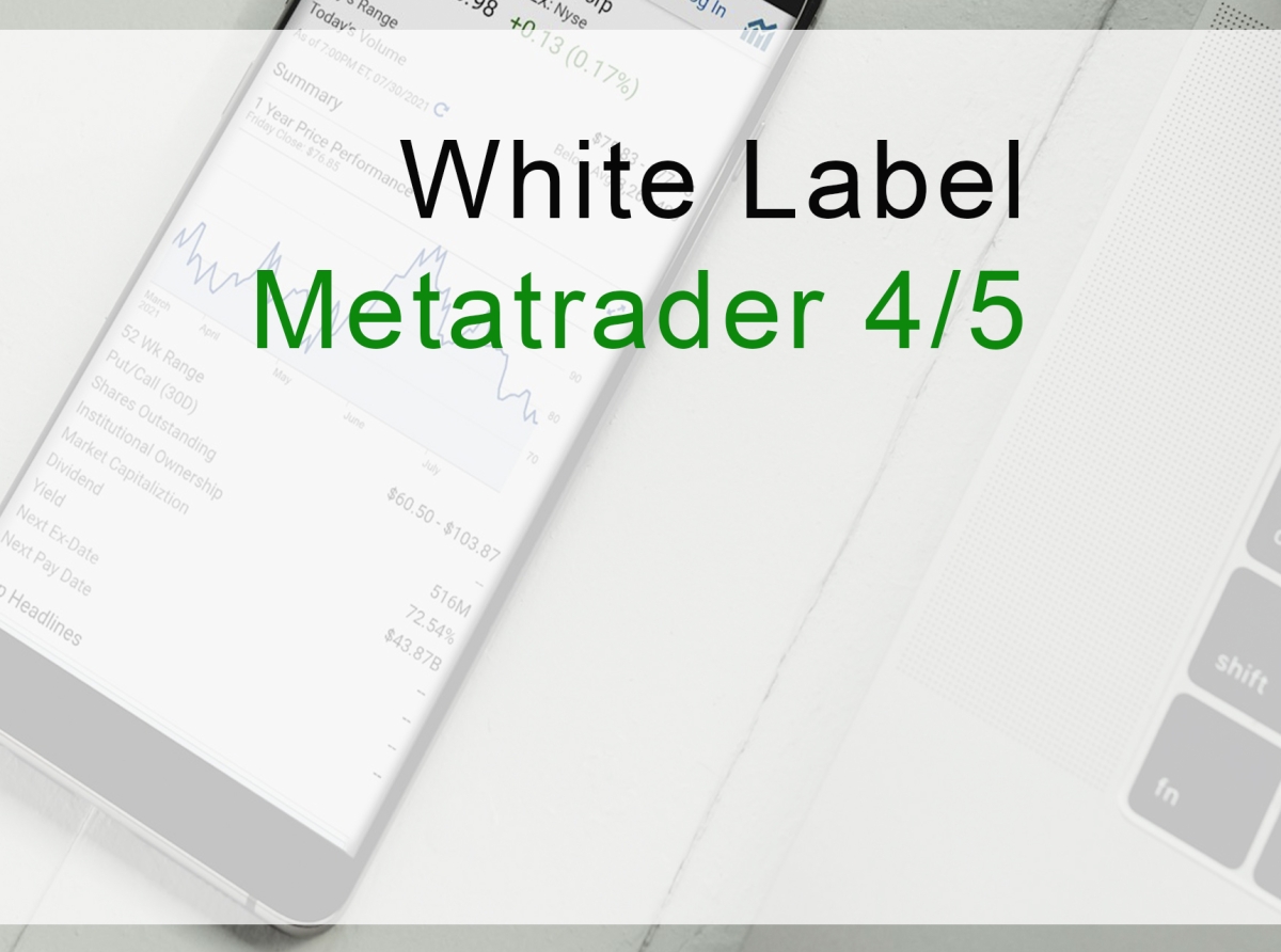 White Label Metatrader 4/5 Professional Provider