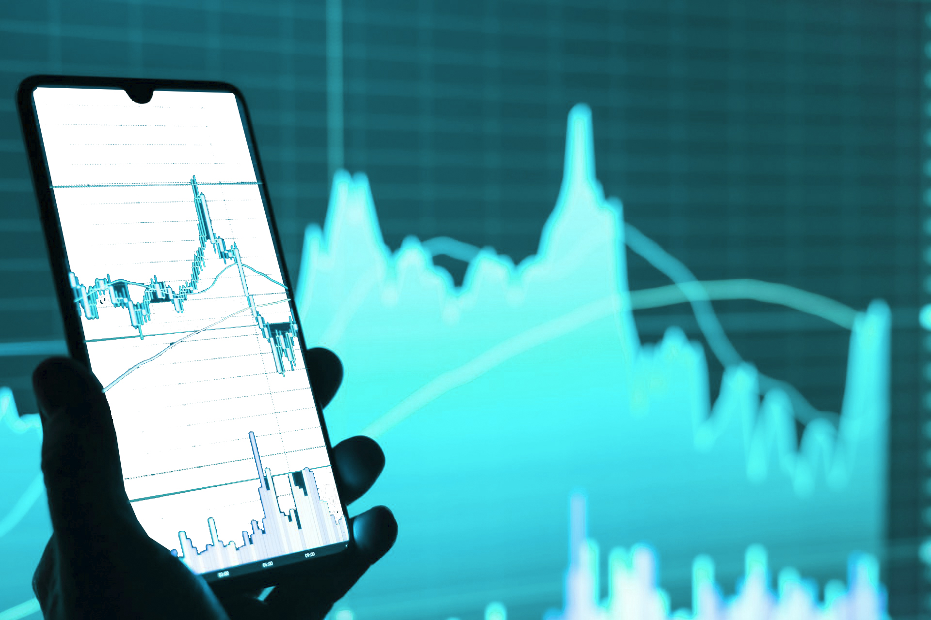 Key Considerations for Selecting the Right Forex White Label Provider