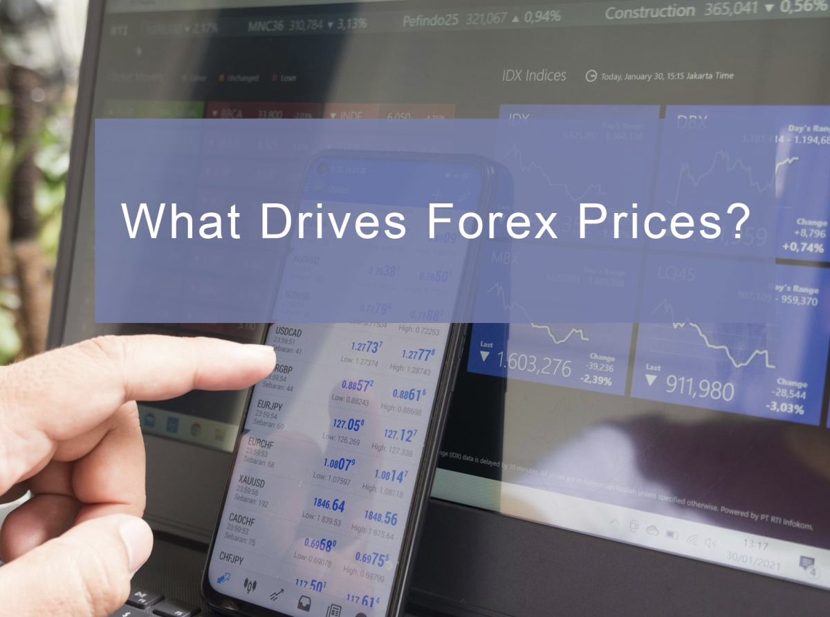 What Drives Forex Prices? 