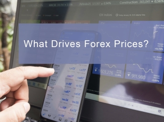 What Drives Forex Prices?
