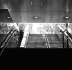 Forex Trading for Everyone: Accessible Opportunities for All Levels