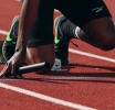Why Grey Label Providers Are a Beginner Broker’s Secret Weapon