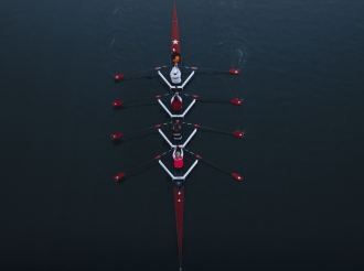 Lone Wolves vs. Trading Teams: Who Really Survives the Forex Game?