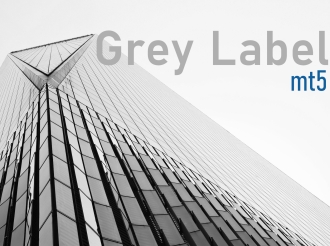 MT5 Grey Label: Balancing Flexibility and Control in Brokerage