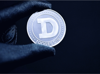 Elon Musk's Lawyer to Lead New $200M Dogecoin Fund