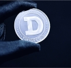 Elon Musk's Lawyer to Lead New $200M Dogecoin Fund