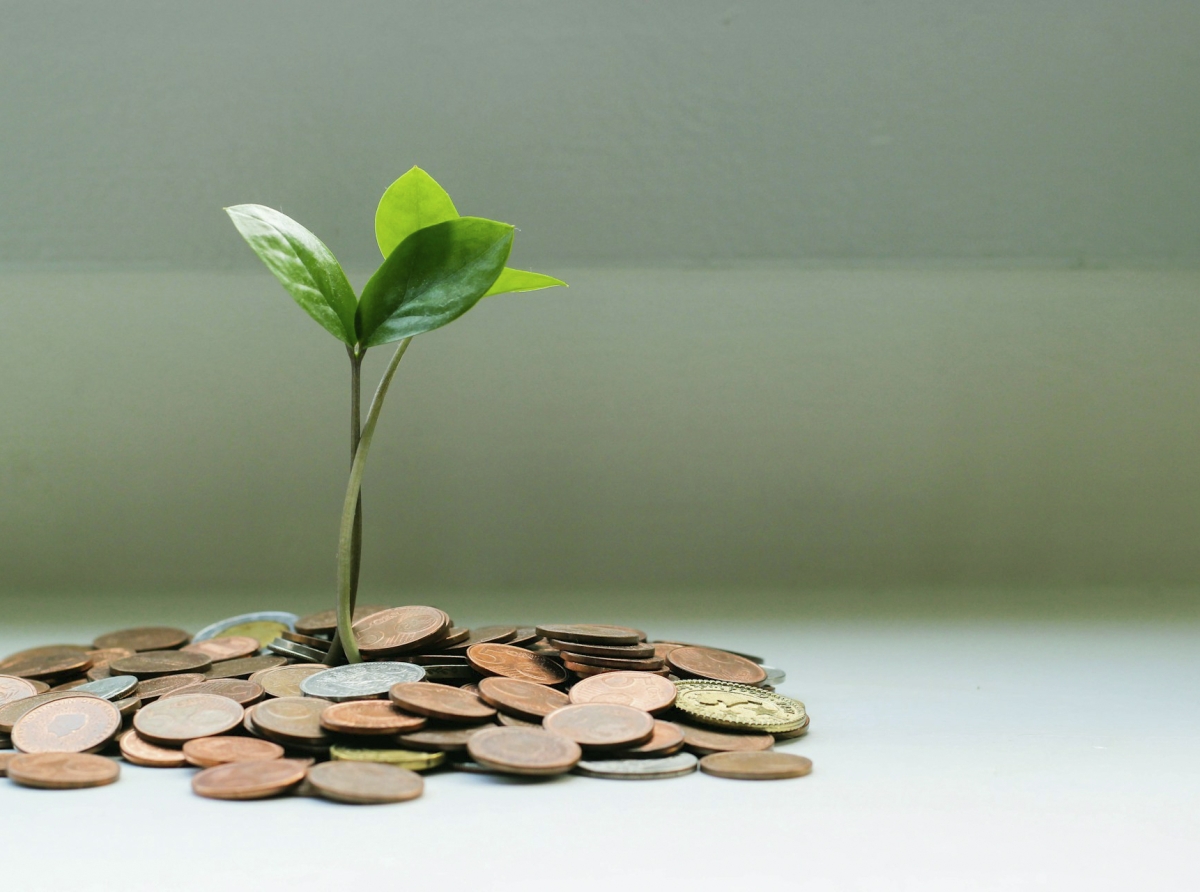 Investing in Mutual Funds: A Beginner’s Guide