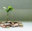 Investing in Mutual Funds: A Beginner’s Guide