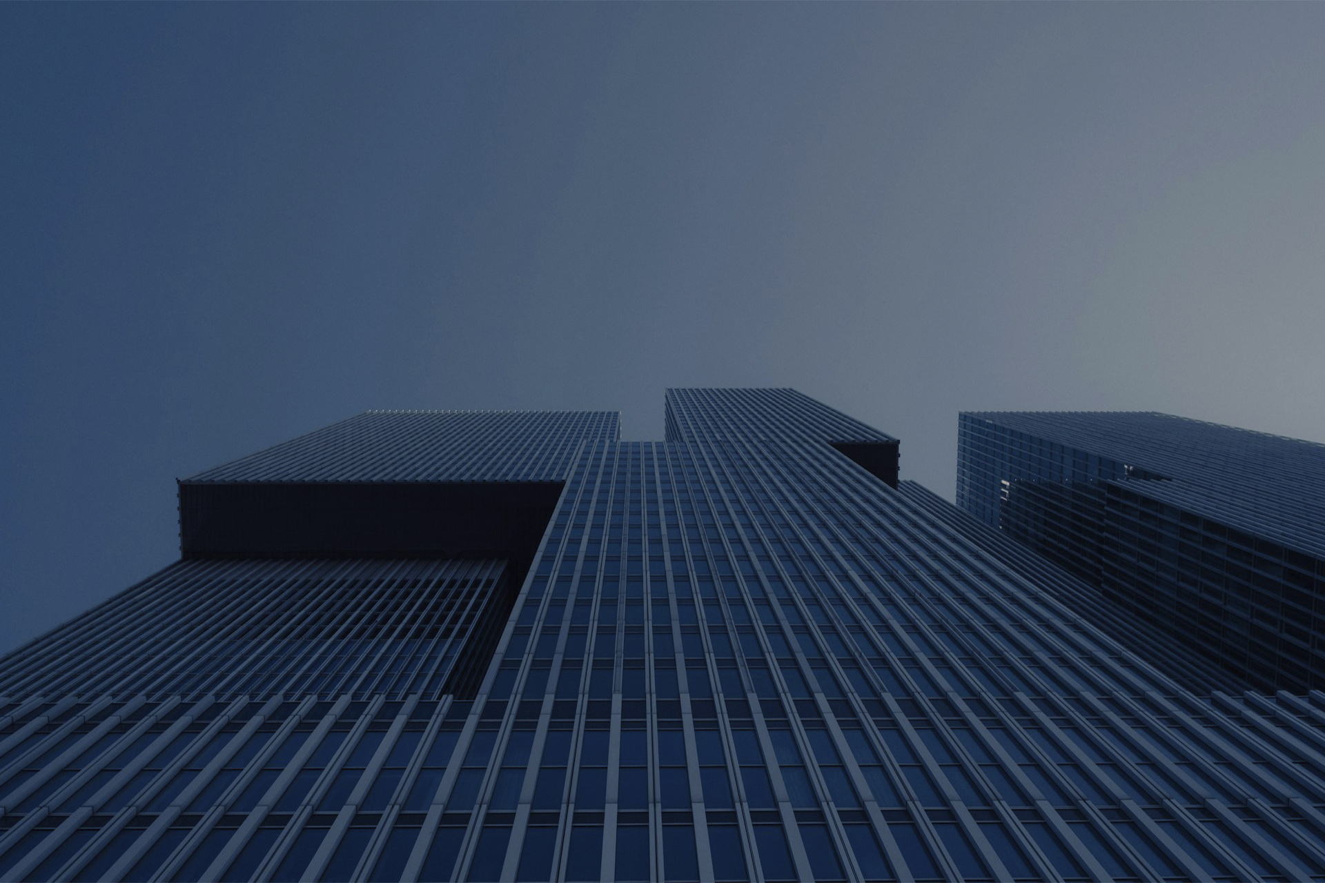 Enhancing Brokerage Services with MT5 Grey Label