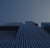 Enhancing Brokerage Services with MT5 Grey Label
