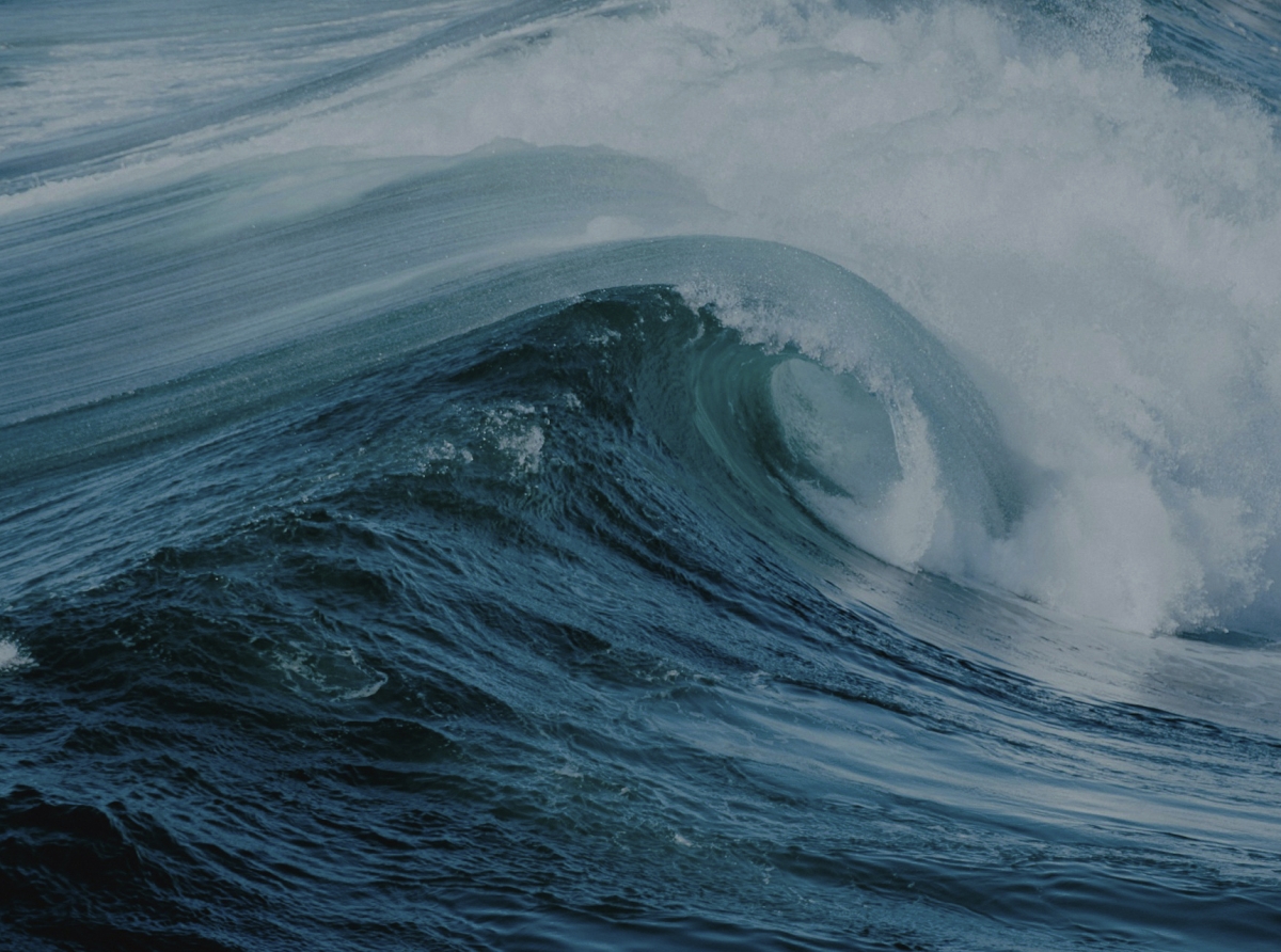 Market Resilience: How Liquidity Providers Help Prevent Market Crises and Force Majeure Events