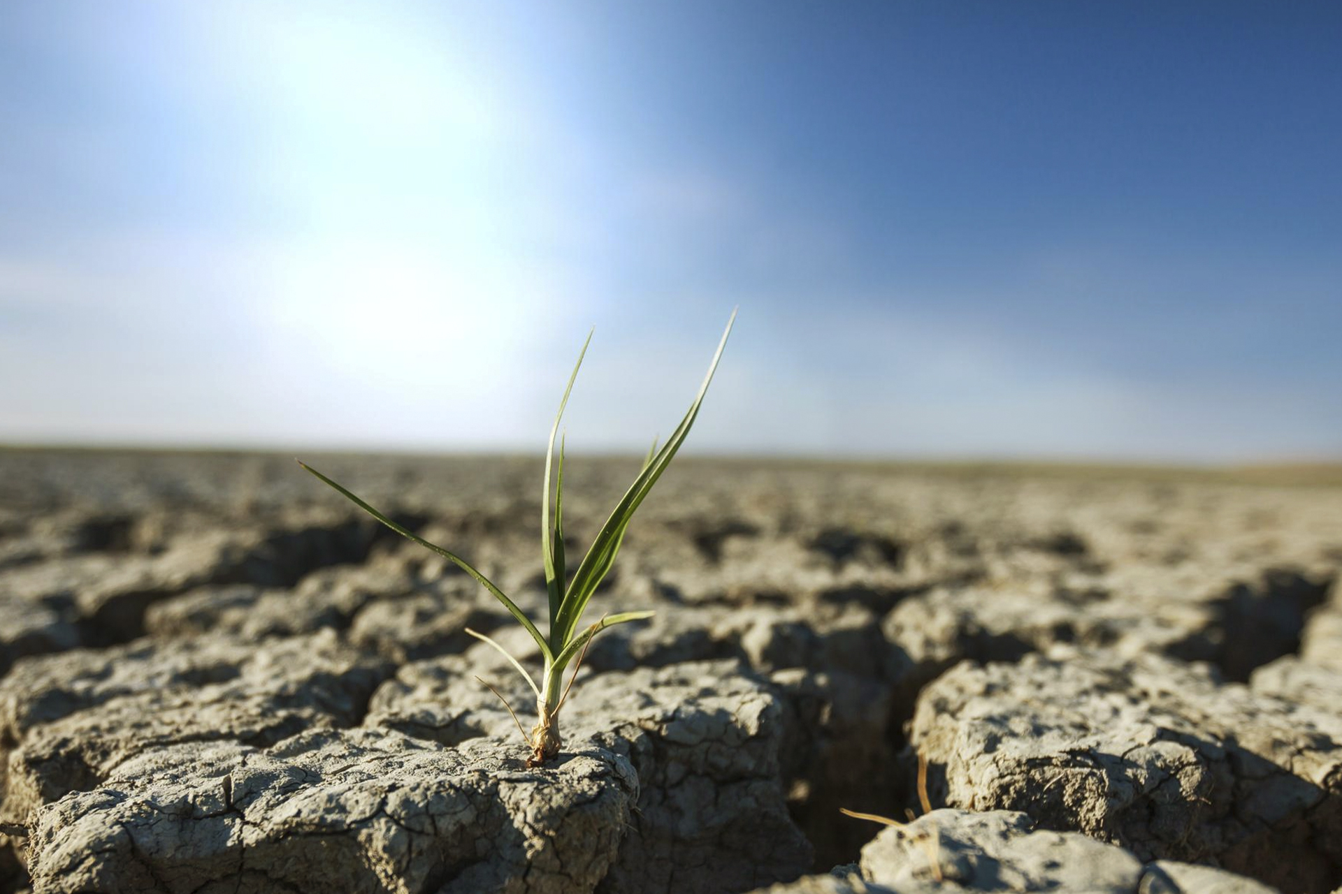 Fertilizer Supply Shock 2026: How the Iran Conflict Threatens Global Food Security Fertilizer Supply Shock 2026: How the Iran Conflict Threatens Global Food Security