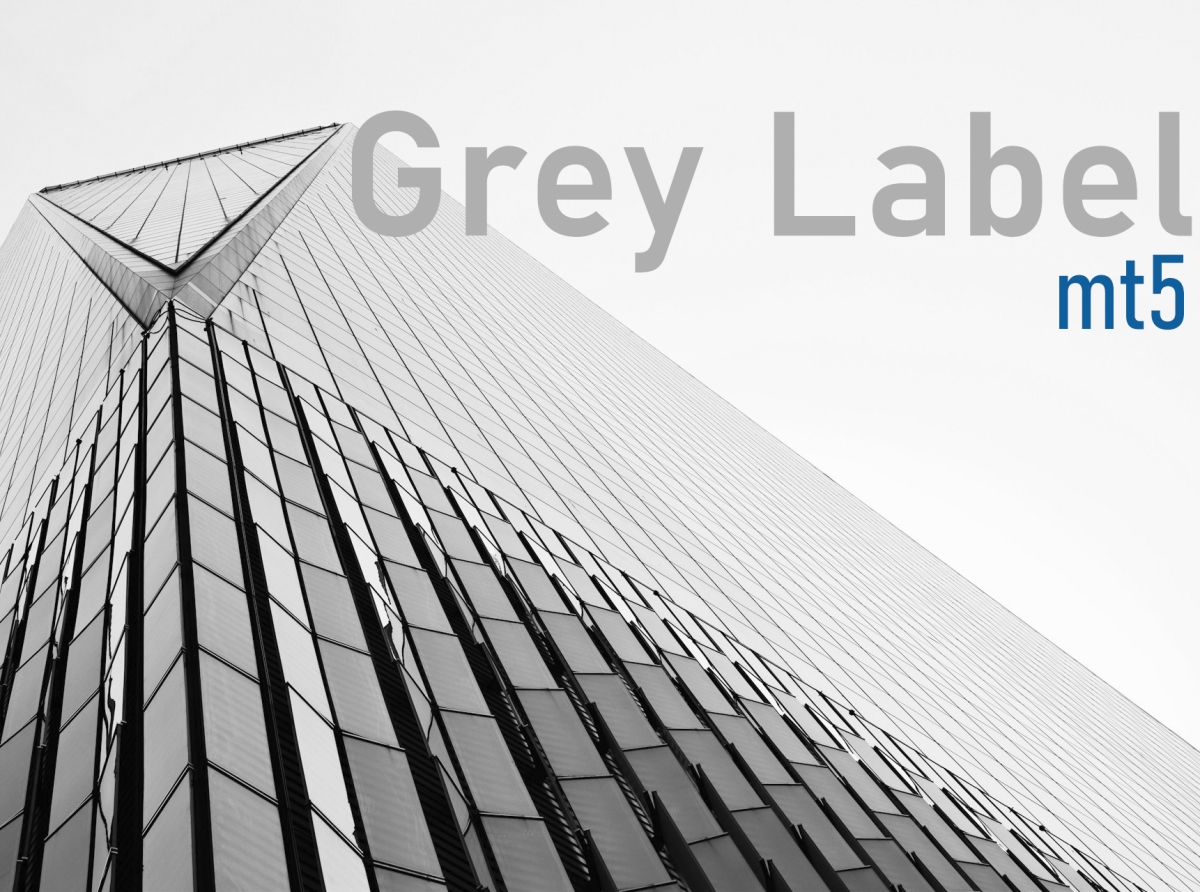 Grey Label Providers: Optimizing and Scaling Your Brokerage Business